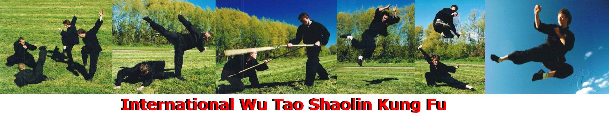 Wu Tao Shaolin Kung Fu Banner